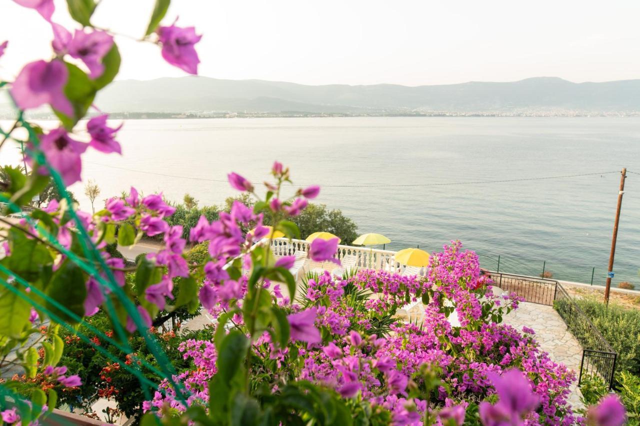 Villa Fjaba - By The Sea - With The Big Terraces & Great Sea View Traù Esterno foto